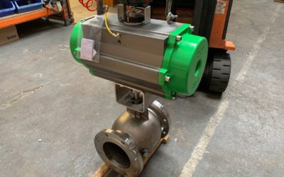 Case Study: Actuated Ball Segment Valve with Steam Purge Points